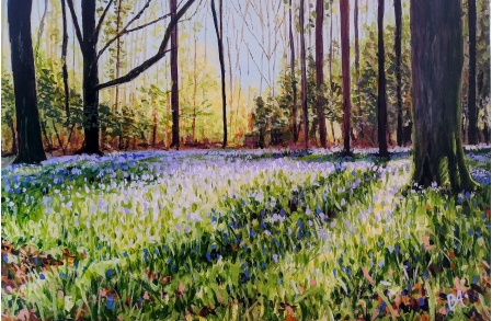 first_bluebells_of_spring